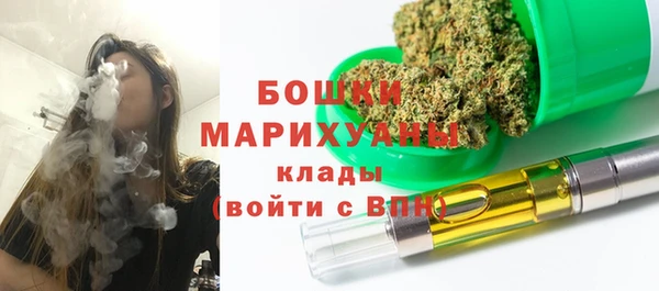 шишки Алексин
