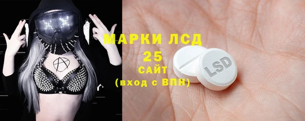 шишки Алексин