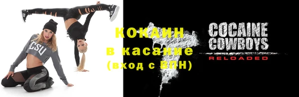 шишки Алексеевка