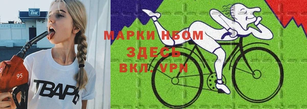 шишки Алексин